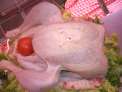 Gall d'indi