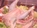 Gallina
