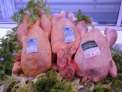 Pollo